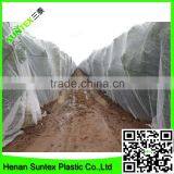 100% New Virgin Material Vineyard Anti Bird Protection Netting for Fruit Tree