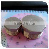 Stainless Steel Casting Cf8m Pipe Fitting 3/4 Inch Bsp Screwed Hexagon Plug