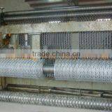 hot dipped galvanized wire netting rolls 1/2 inch Real factory