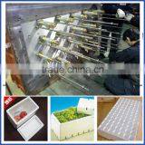 High Quality Eps Machine Mold thumbnail-1