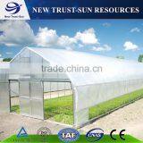 Good warm-keeping ability tunnel Polyethylene/PE/PVC greenhouse