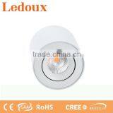 Modern White Adjustable Surface Mounted Ceiling Light