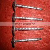 1-3/4" Roofing Galvanized Ring Shank Nails thumbnail-2