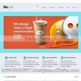 Responsive Website Designing Services India thumbnail-3