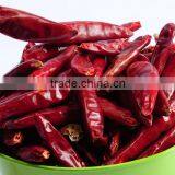 Spicy Food Chinese Dried Red Chili thumbnail-1