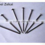 6" Stainless Steel Nails/iron Round Common Wire Nails for Building