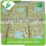 Vacuum Packed Fresh Peeled Garlic Cloves thumbnail-6