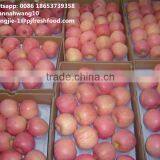 2016 Fresh Fuji Apple thumbnail-4