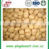 Chinese Blanched Peanut With Factory Price and Good Quality thumbnail-3