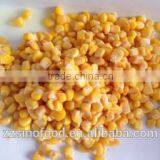 Canned Sweet Kerenl Corn in Brine
