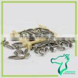 Roasted Iran Sunflower Seeds thumbnail-2