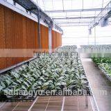 Evaporative Cooling Pad Used for Greenhouse thumbnail-5