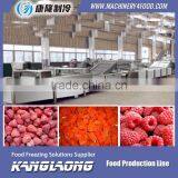 Large Output full automatic potato chips processing line