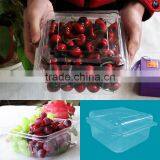 Disposable Fruit Plastic Packaging Container for Blueberry thumbnail-3