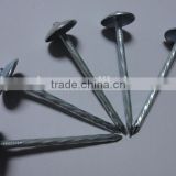 2"*10G Umbrella Head twisted Shank Roofing Nail (factory)