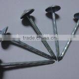 2"*10G Umbrella Head Twisted Shank Roofing Nail (factory) thumbnail-1
