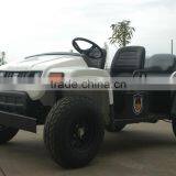 off Road Electric Utility Vehicle UTV thumbnail-4