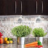 Amazon Best Seller Hot Item 12W LED Growing Bulb for Indoor Garden Greenhouse and Hydroponic Aquatic,E27 3Bands thumbnail-6