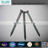 Common Nail and Roofing Nail Made in China thumbnail-1