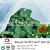 Make to Order 100% pp Spun-bonded Non Woven Fabric Usded for Agriculture thumbnail-1