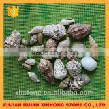 New Arrival Top Sale Popular Fashion Shell in 2015 thumbnail-3