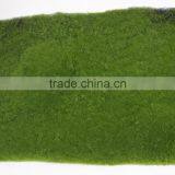 Artificial Moss Grass Wall for Decoration Real Artificial Moss Mat thumbnail-3