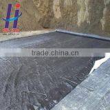 Green Roof Waterproofing, Roofing Artificial Pond Seepage Bentonite Geosynthetic Clay Liner thumbnail-2