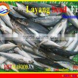 W/R FROZEN LAYANG SCAD thumbnail-1