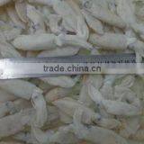 IQF Baby Squid thumbnail-1