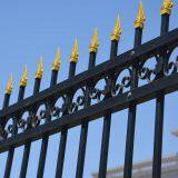 Окрасительная садовая ограда, предварительно изготовленная стальная ограда thumbnail-2