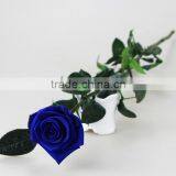 Wholesale Beautiful Real Natural Preserved Flower Preserved Rose With Stem thumbnail-3