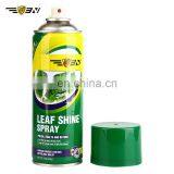 Garden Aerosol Leaf Shine Spray(255g), High Quality Foliage Shine Spray, Leaf Polish Shine Spray for Plants and Flowers