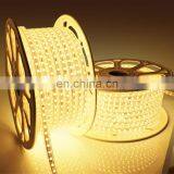 Wholesale Smart Neon Flex 220V Outdoor Flexible 5050 SMD 100m RGB Waterproof Led Strip/Led Strip Lights/Led Light Strip thumbnail-7