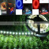 12V Flexible Led Strip Light