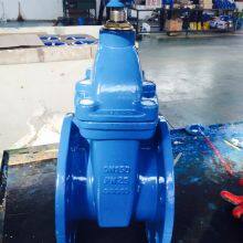 PN25 DIN F4 Non-rising Stem Resilient Seated Gate Valve thumbnail-3