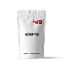 High Activity Freeze-dried Lactobacillus Plantarum Powder Food Grade Bulk Probiotics for Gut Health Supplements & Food Industry thumbnail-3