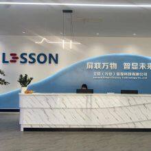 Lixin (Wan'an) Intelligent Display Technology Co., Ltd. company overview - view 1 thumbnail