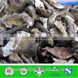 Market Prices For Boletus thumbnail-1