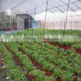 Low Cost Greenhouse thumbnail-1