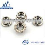 Stainless Steel 304 Hot Sale Hex Flange Nuts