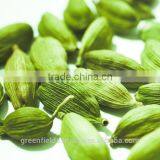 Cardamom Essential Oil