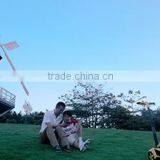 Electric Scooter thumbnail-2