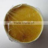 Soft Double Tapered PBT Filaments for Kids Toothbrush