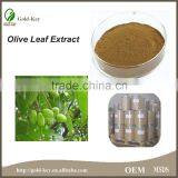 Pure Natural Hot Selling Olive Leaf Extract thumbnail-2