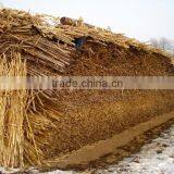 Home Use Small Gasifier Stove/continuous Gasifier Oven for Sale thumbnail-4