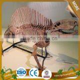 Stegosaurus Dinosaur Fossils for Sales thumbnail-3
