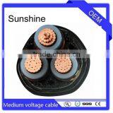 Xlpe Power MV Cable Multi Core 16 25 35 50 70 95 120 150 185 240 Square Section thumbnail-5