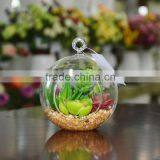 Wholesale Glass Globe Hanging Succulent Plants Terrarium Geometric thumbnail-1