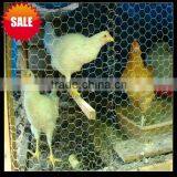 Hexagonal Chicken Coop Wire Netting
