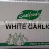 2014 New Fresh Garlic thumbnail-2